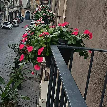 Nimia Di Nic & Fra Nocleg ze śniadaniem 3*